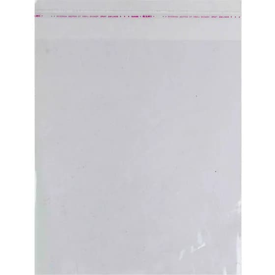 ПП с клапаном 100×155, прозрачный