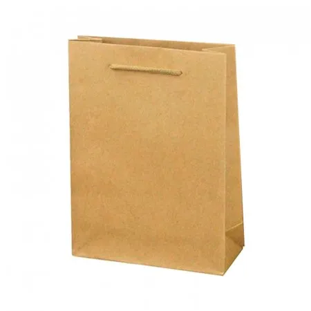 Крафт-пакет с веревочной ручкой 24×8×33 см, 120 г/м², бурый